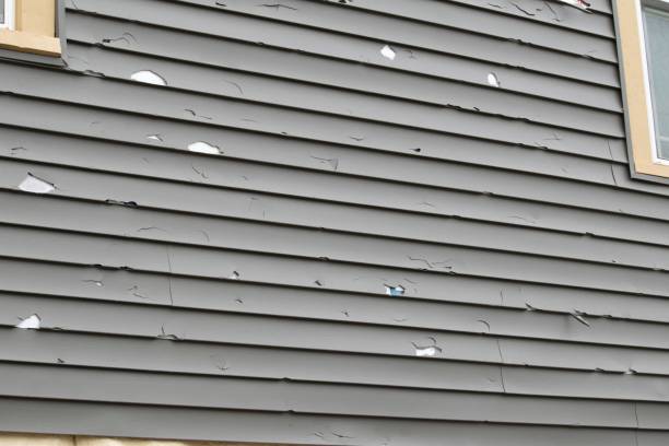 Best Aluminum Siding Installation  in Berlin, NJ
